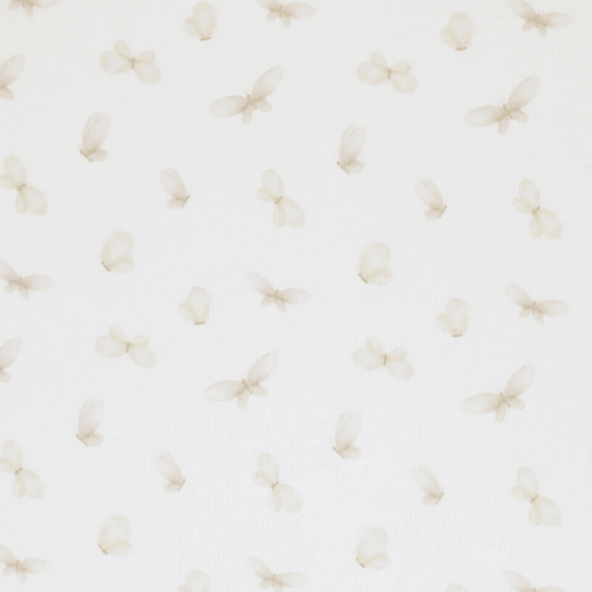 Ribjersey White Butterflies