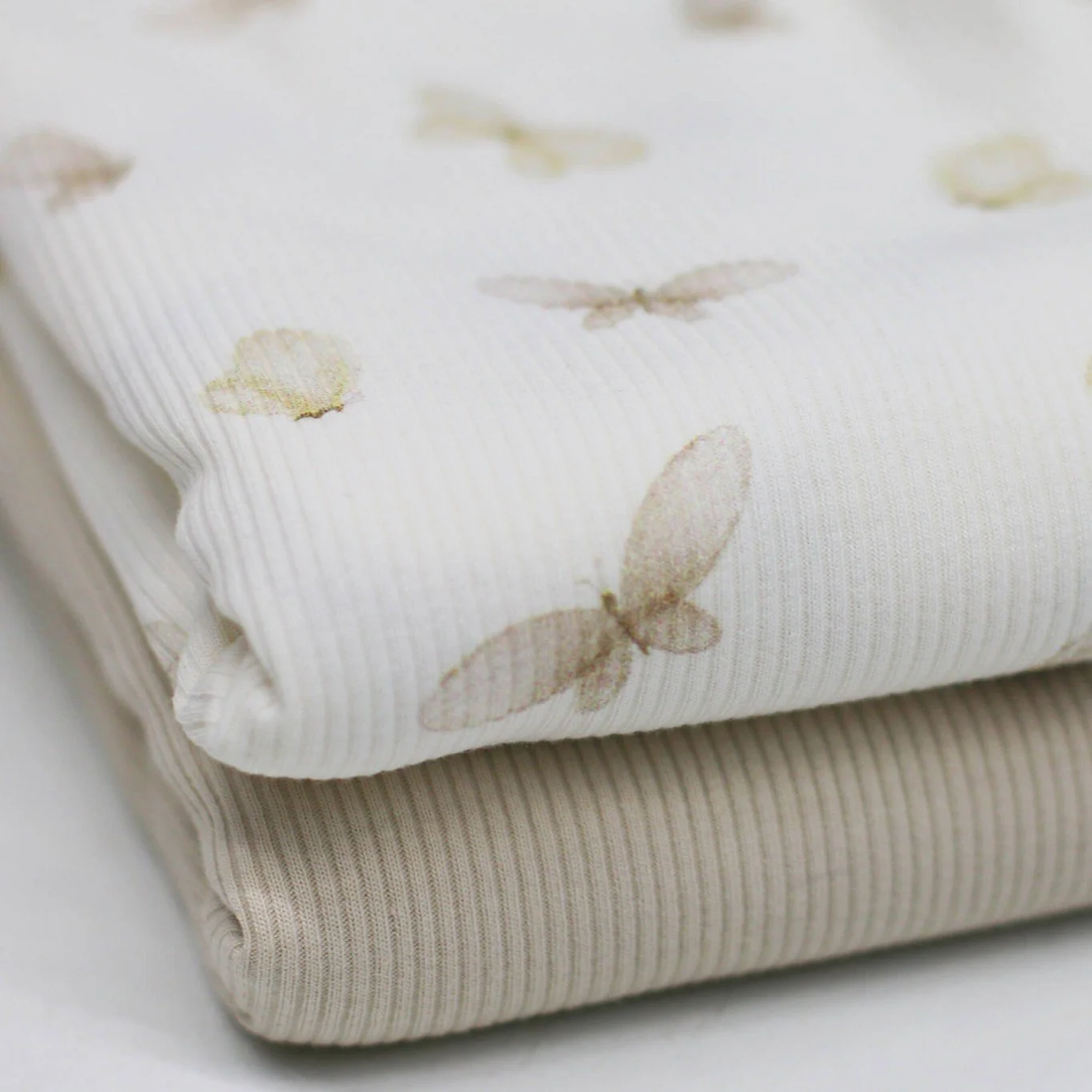 Ribjersey White Butterflies