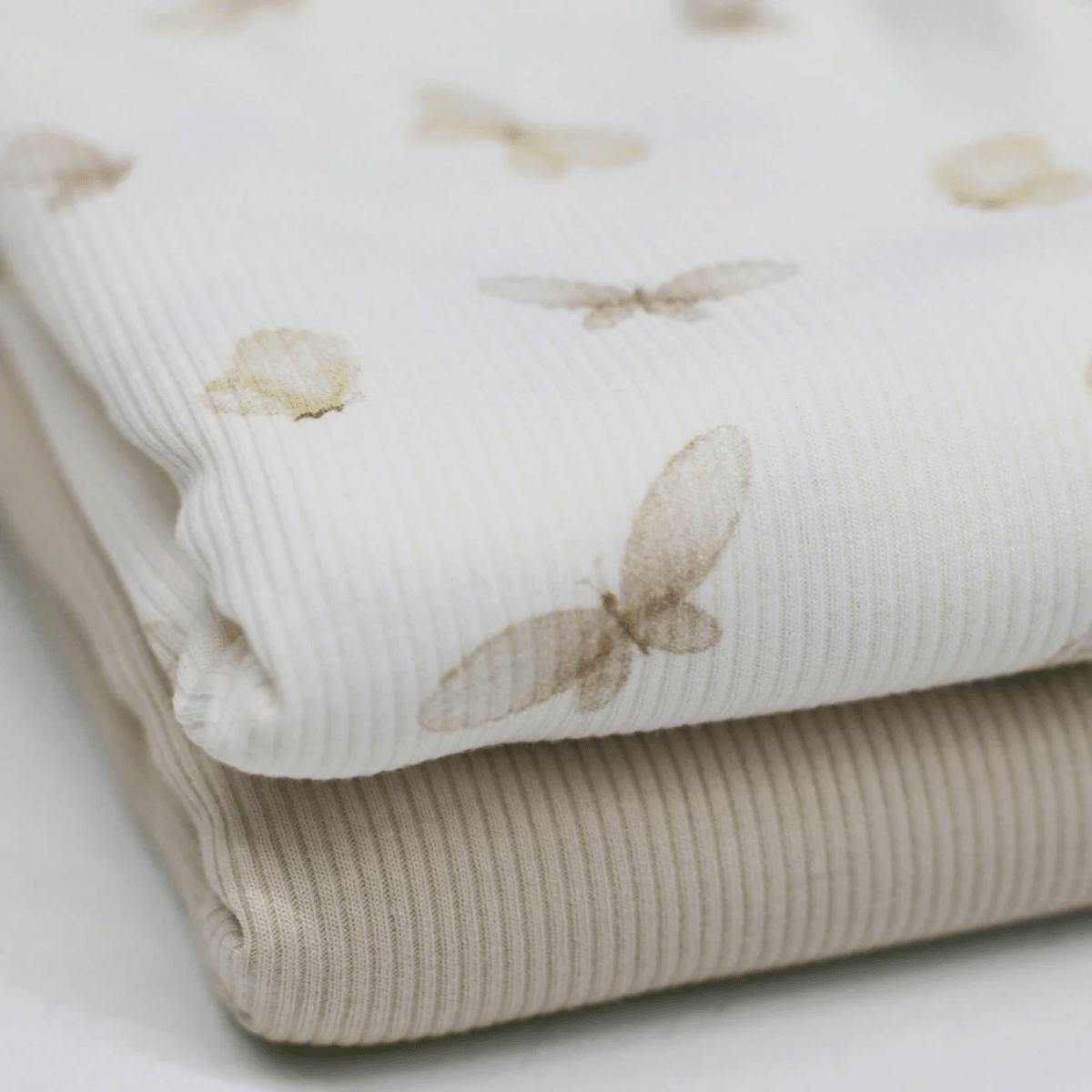 Ribjersey White Butterflies