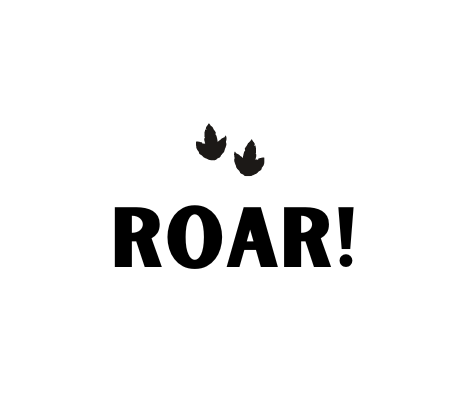 Eigenproduktion Label "ROAR!" - Würfel & Mütze